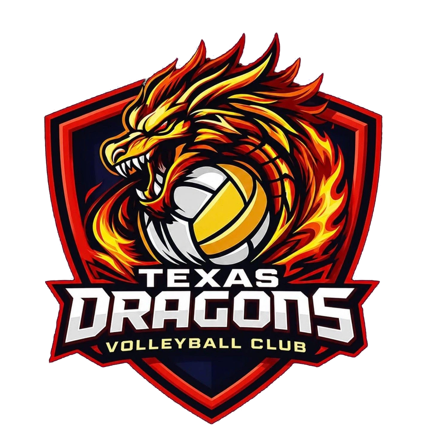 Texas Dragons Volleyball Club crest: a fiery dragon wrapped around a volleyball